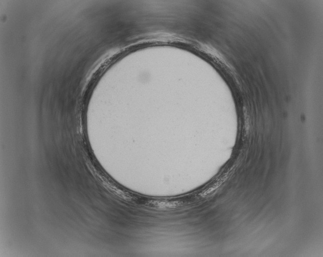 X0000067851318200605111658