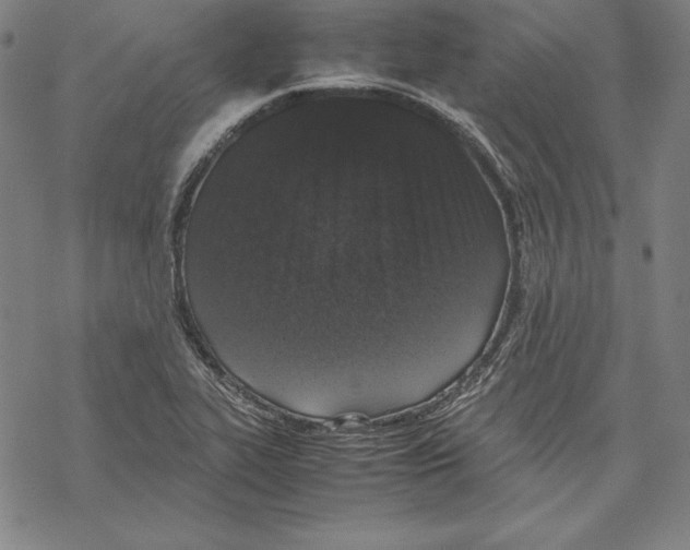 X0000067851319200605111658