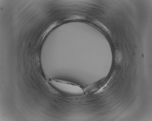 X0000067851321200605111658