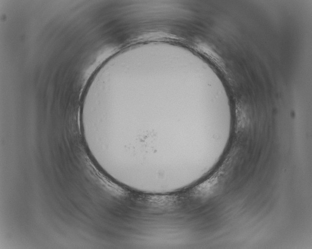 X0000067851322200605111658