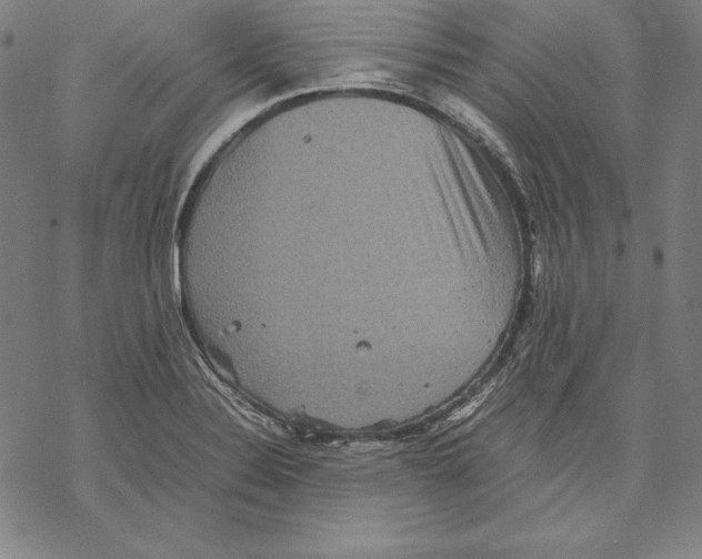 X0000067851324200605111658