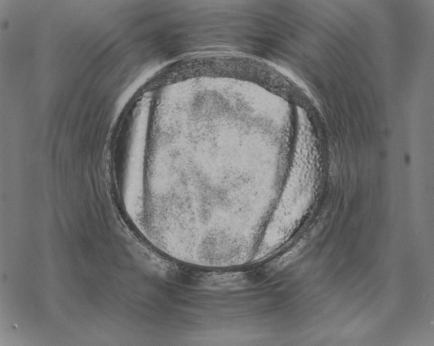 X0000067851325200605111658