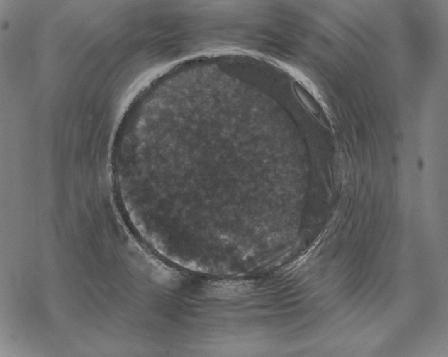 X0000067851327200605111658