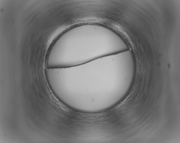 X0000067851328200605111658