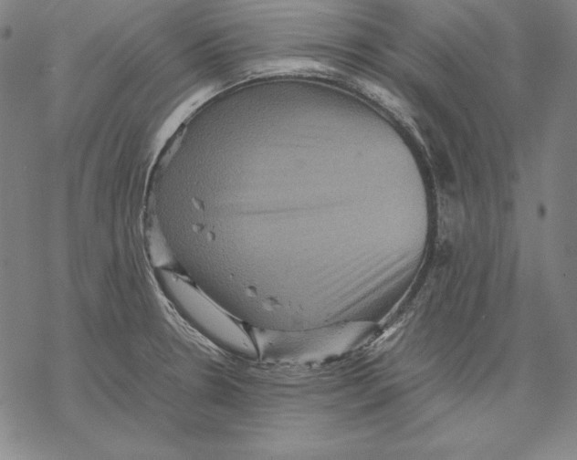 X0000067851330200605111658