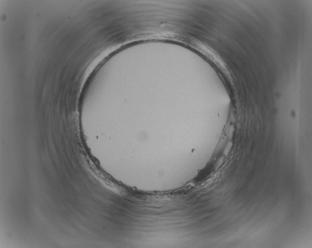 X0000067851332200605111658