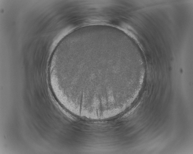 X0000067851333200605111658