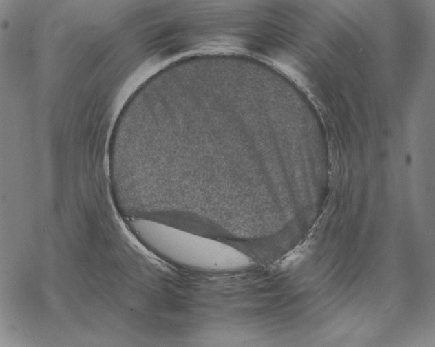 X0000067851335200605111658