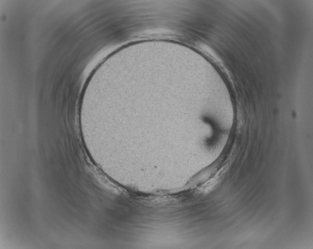 X0000067851336200605111658