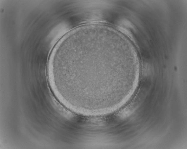 X0000067851338200605111658