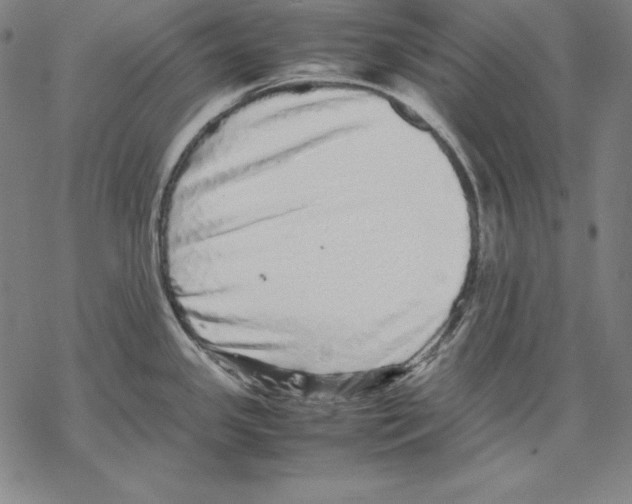 X0000067851341200605111658