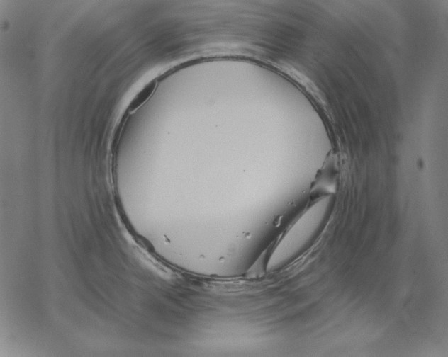 X0000067851342200605111658