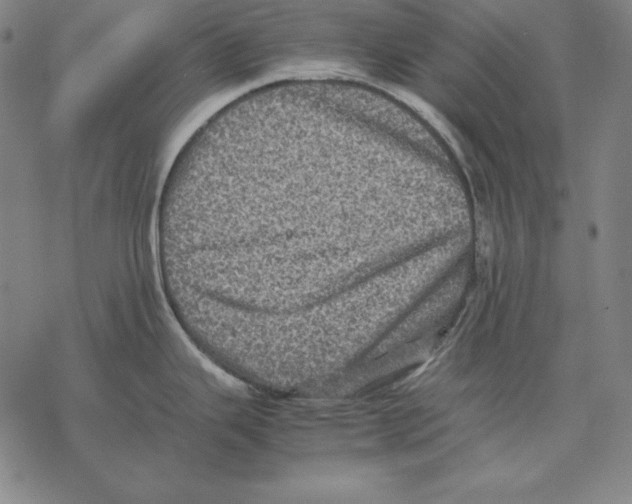 X0000067851343200605111658