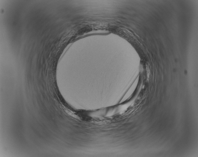 X0000067851345200605111658