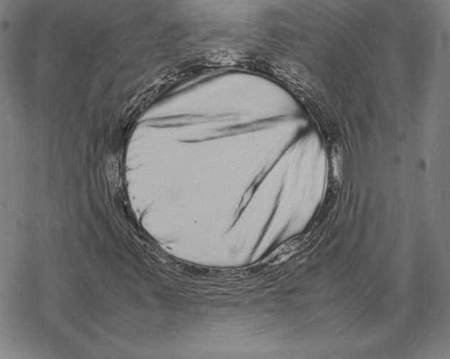 X0000067851347200605111658