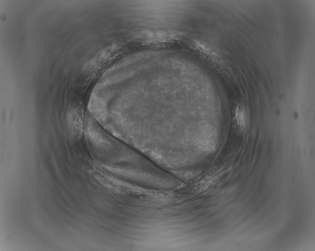 X0000067851348200605111658