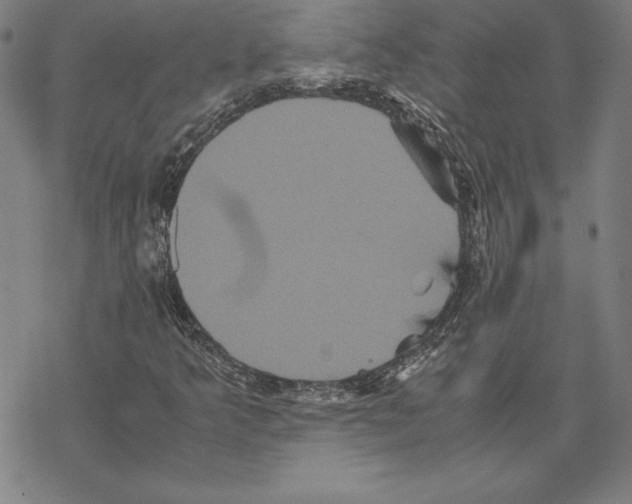 X0000067851349200605111658