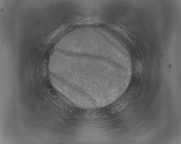 X0000067851350200605111658