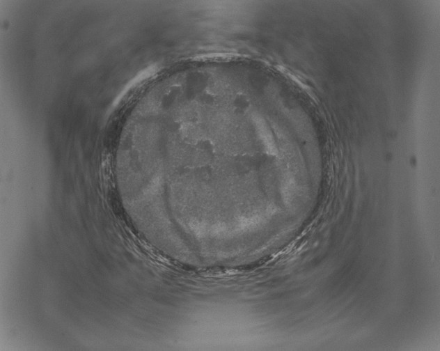 X0000067851351200605111658