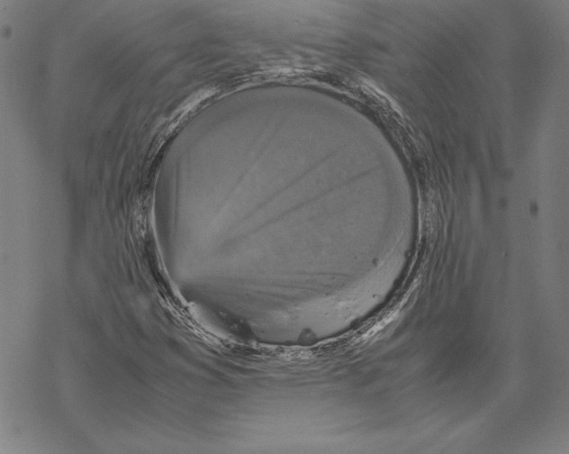 X0000067851353200605111658