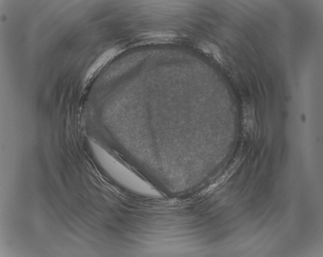 X0000067851354200605111658