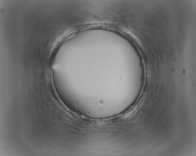 X0000067851357200605111657