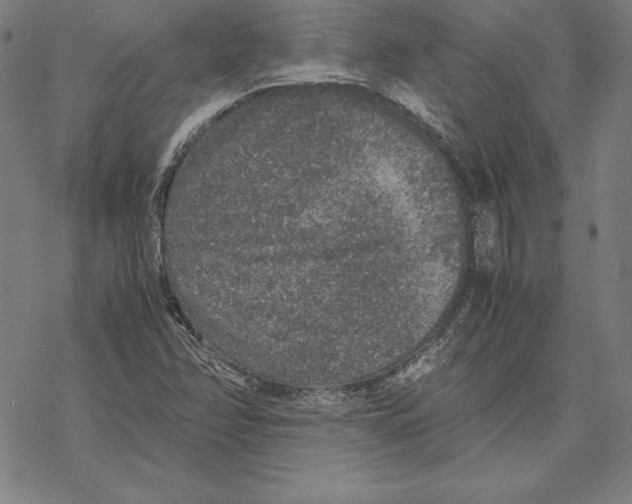 X0000067851358200605111657