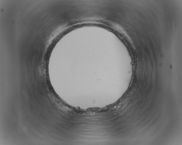 X0000067851360200605111657