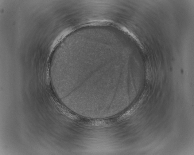 X0000067851362200605111657