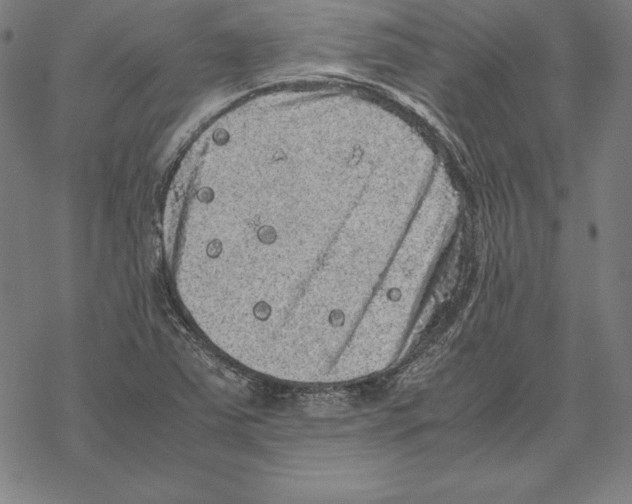 X0000067851363200605111657