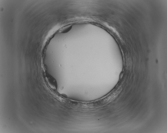 X0000067851365200605111657