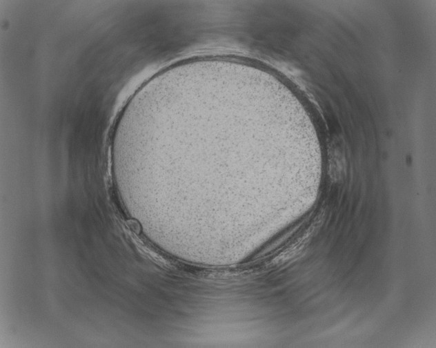 X0000067851366200605111657