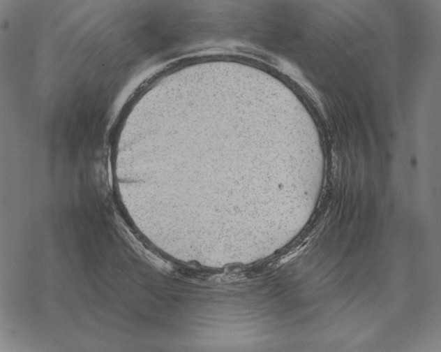 X0000067851368200605111657