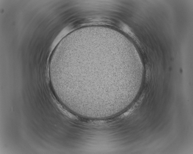 X0000067851370200605111657