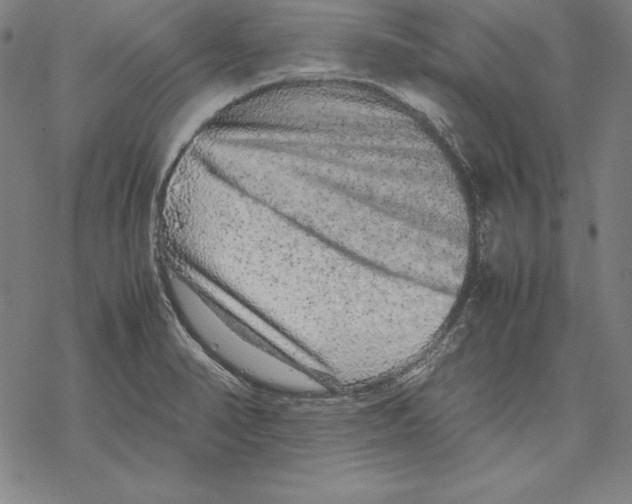 X0000067851374200605111657