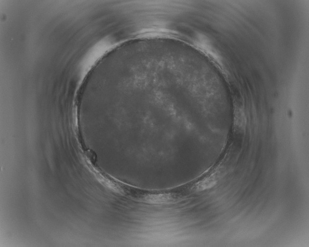 X0000067851376200605111657