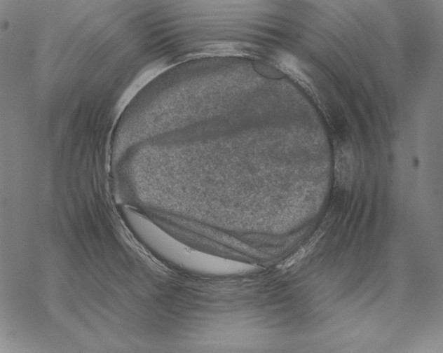 X0000067851378200605111657