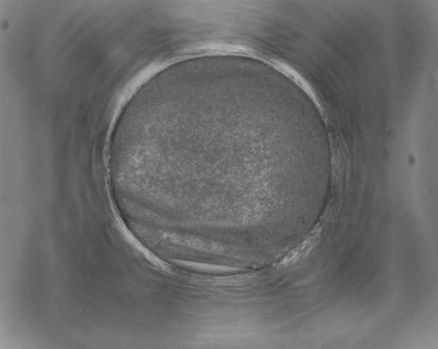 X0000067851381200605111657