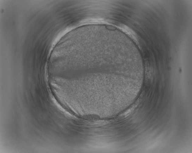 X0000067851382200605111657