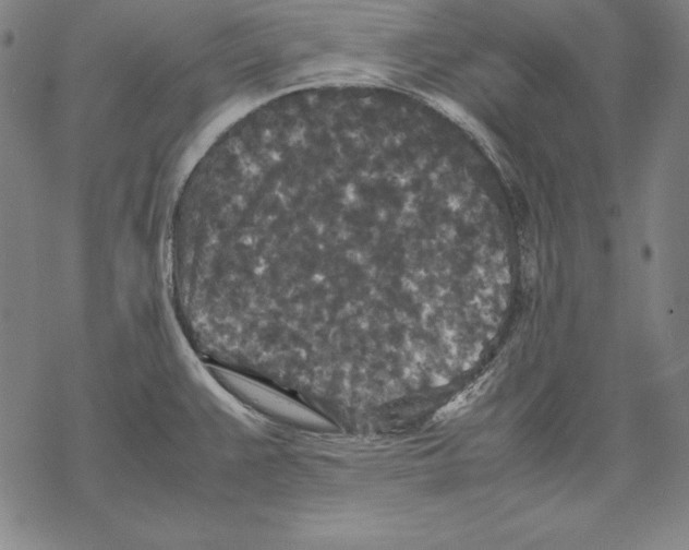 X0000067851383200605111657