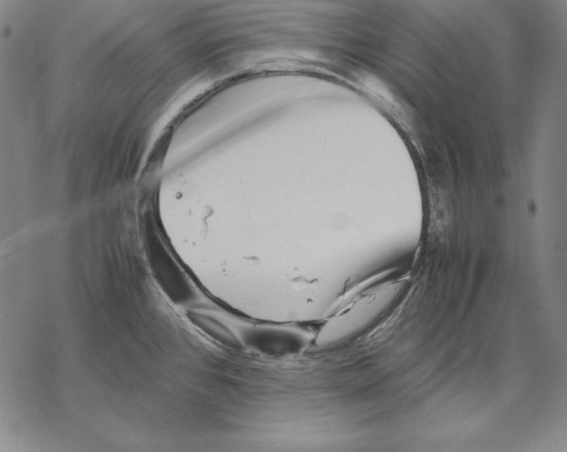 X0000067851384200605111657