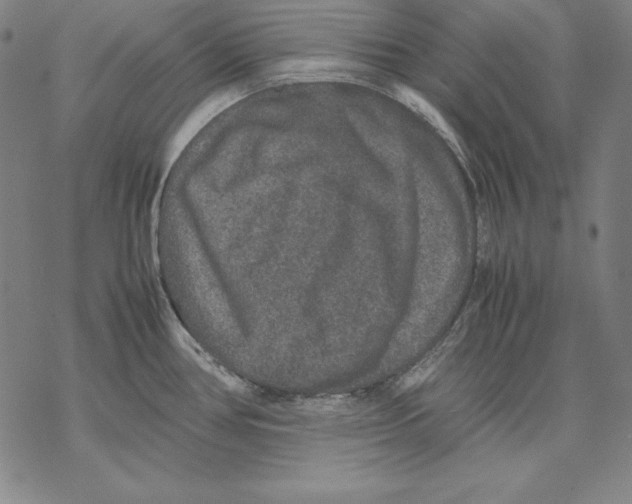 X0000067851386200605111657