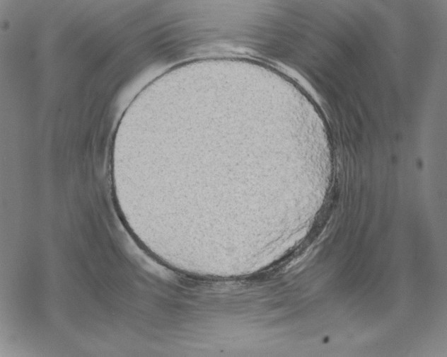 X0000067851387200605111657