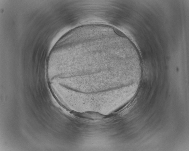 X0000067851390200605111657