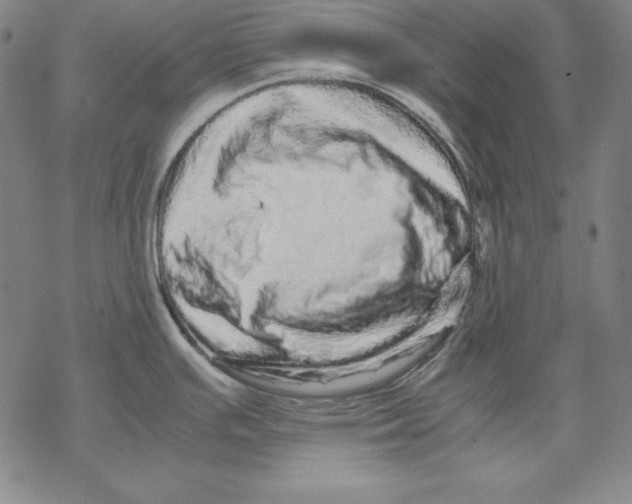 X0000067851391200605111657