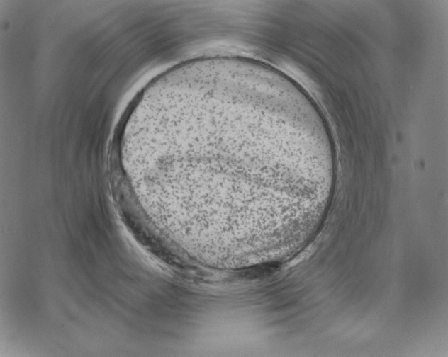 X0000067851392200605111657