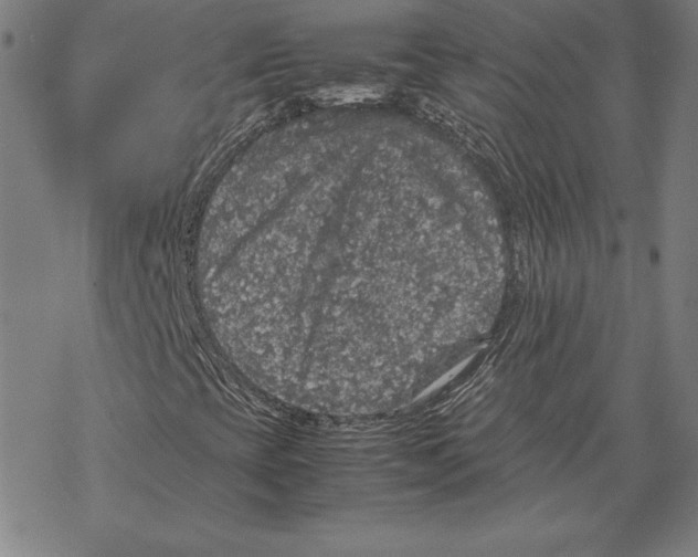 X0000067851393200605111656