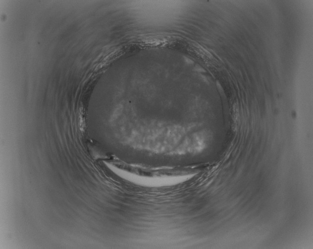 X0000067851394200605111656