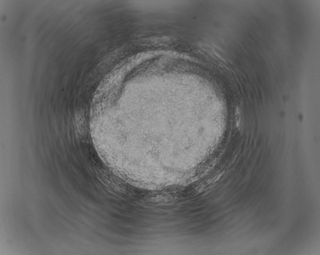 X0000067851395200605111656