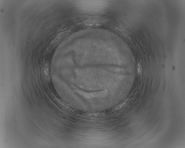 X0000067851396200605111656